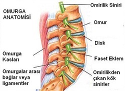 belağrısı