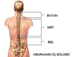 belağrısı