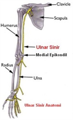 ulnar sinir sikismasi