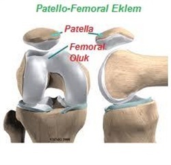 pateller tendon yirtigi
